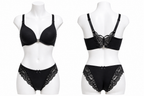 Imported Butterfly Back Lace Padded Bra Set – Premium Ring Support Wear