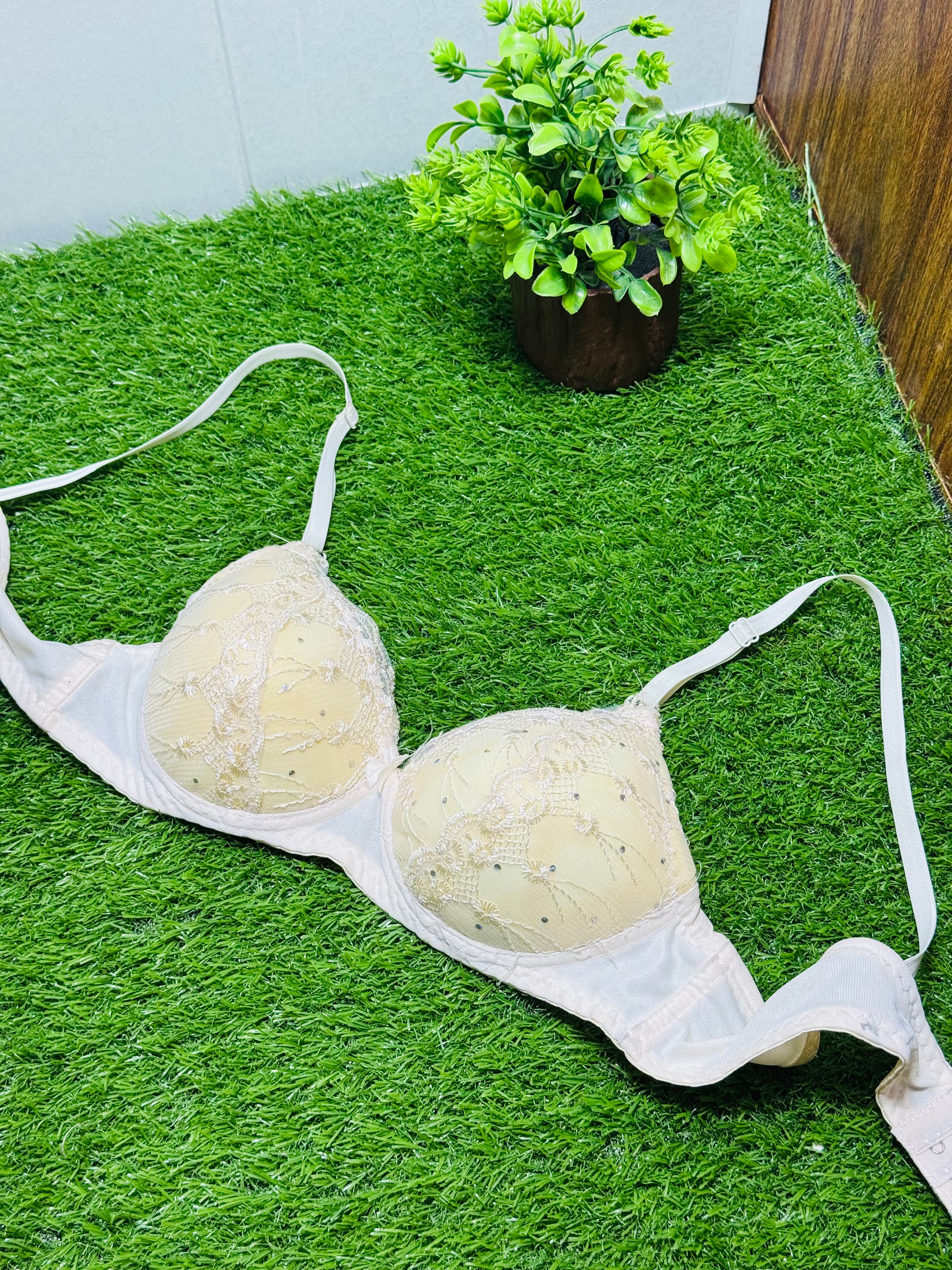 Single Padded Regular Wear Bra