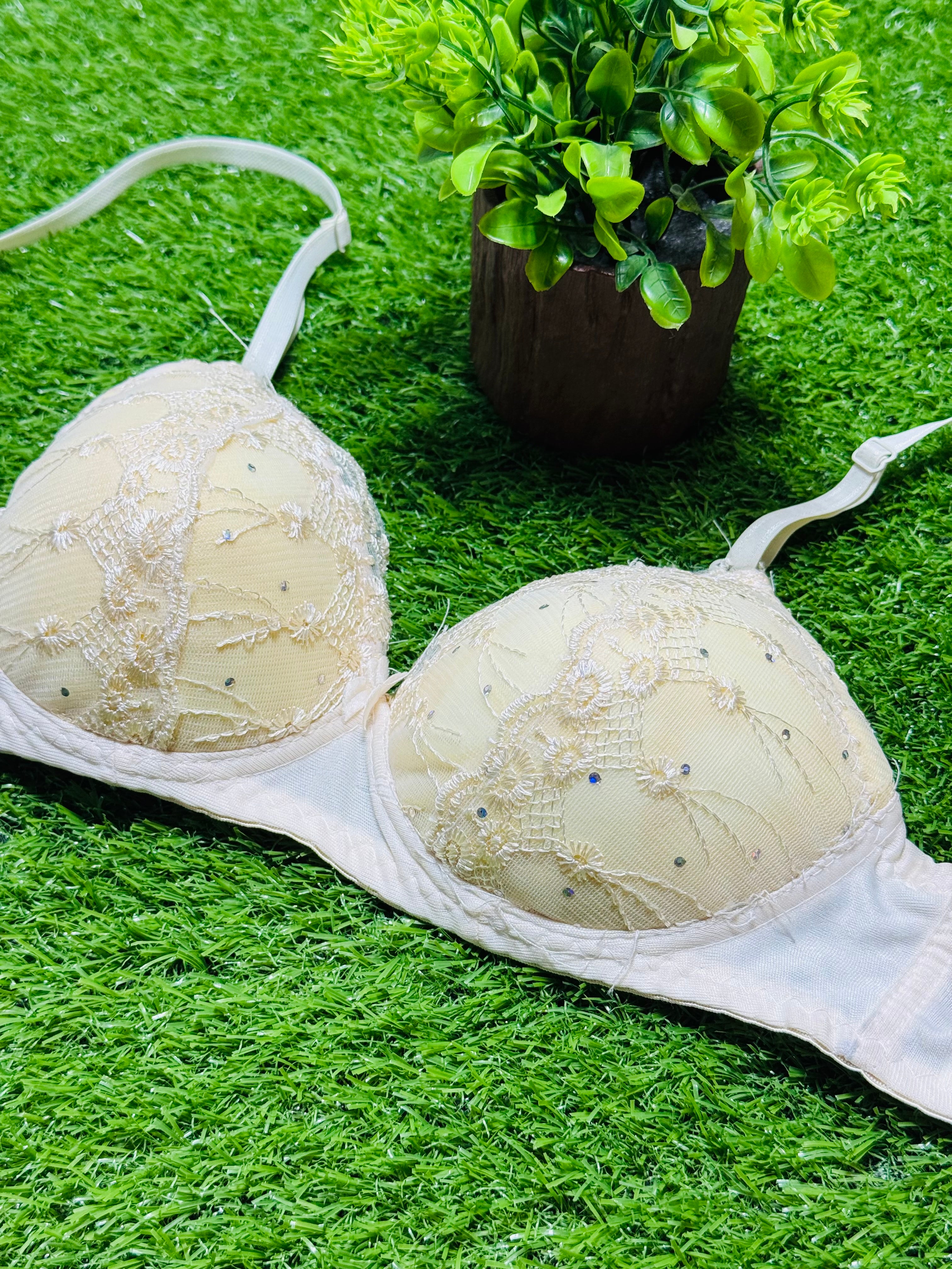 Single Padded Regular Wear Bra