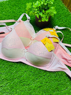 Single Padded Regular Wear Bra