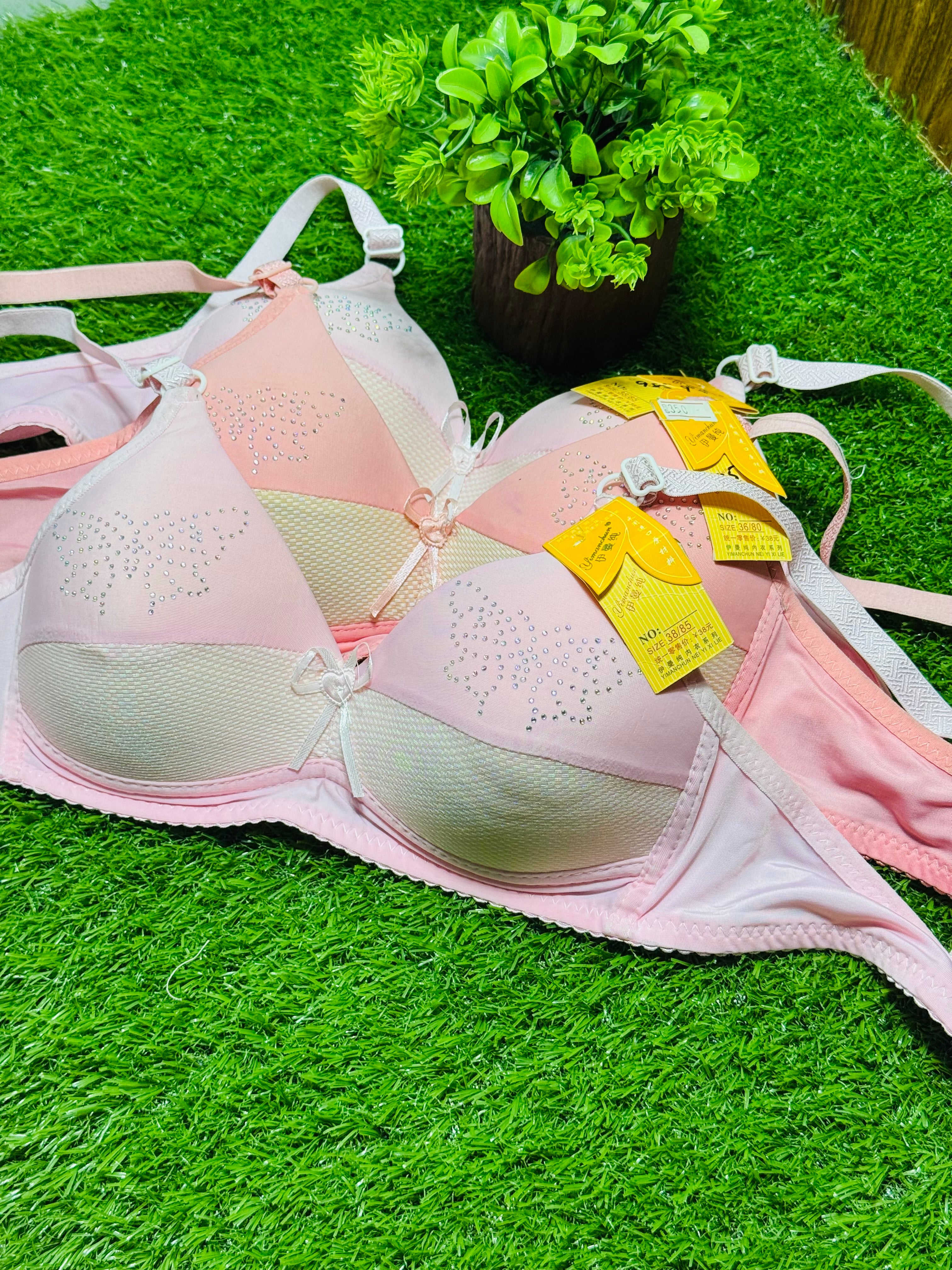 Single Padded Regular Wear Bra