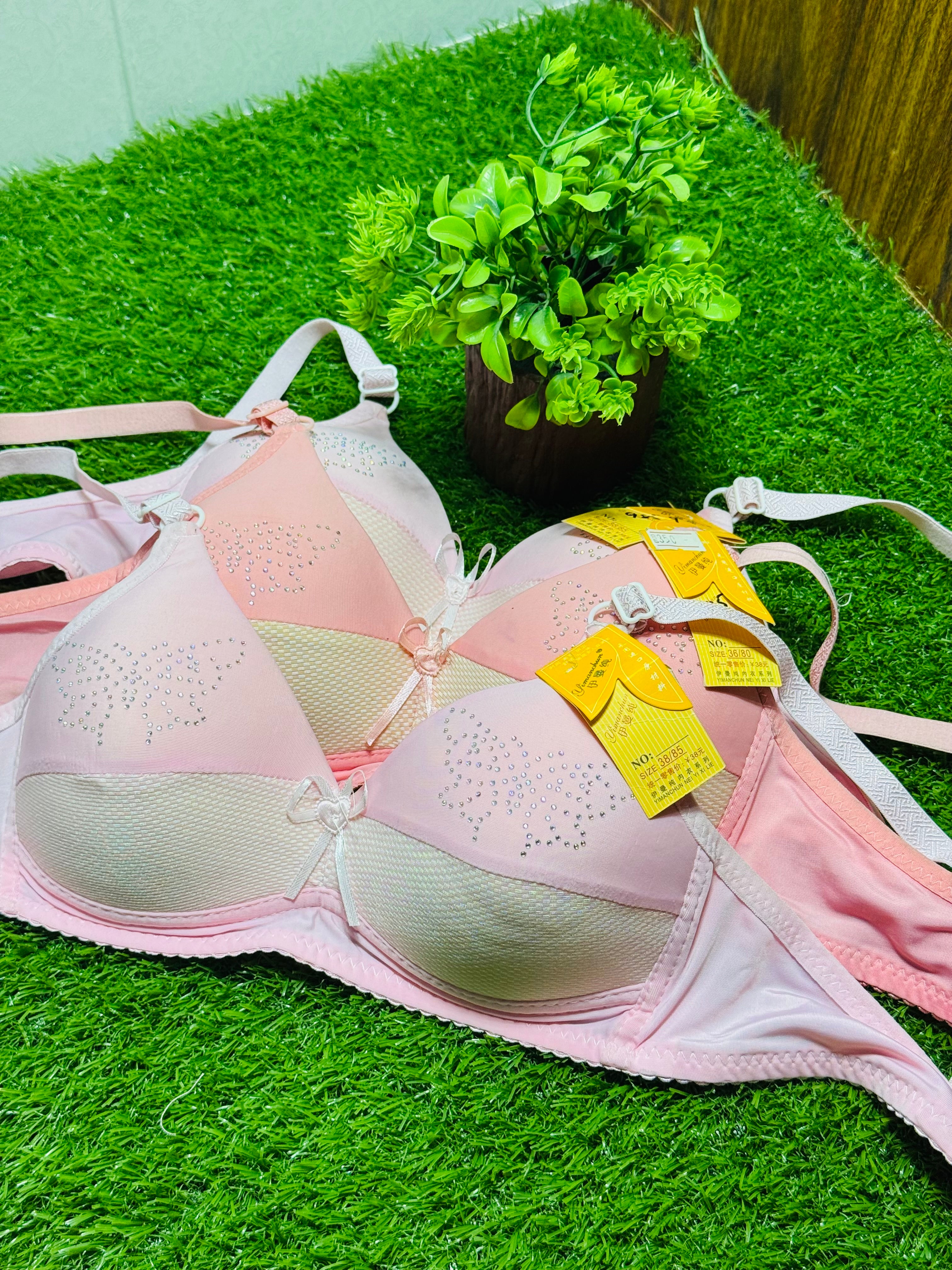 Single Padded Regular Wear Bra