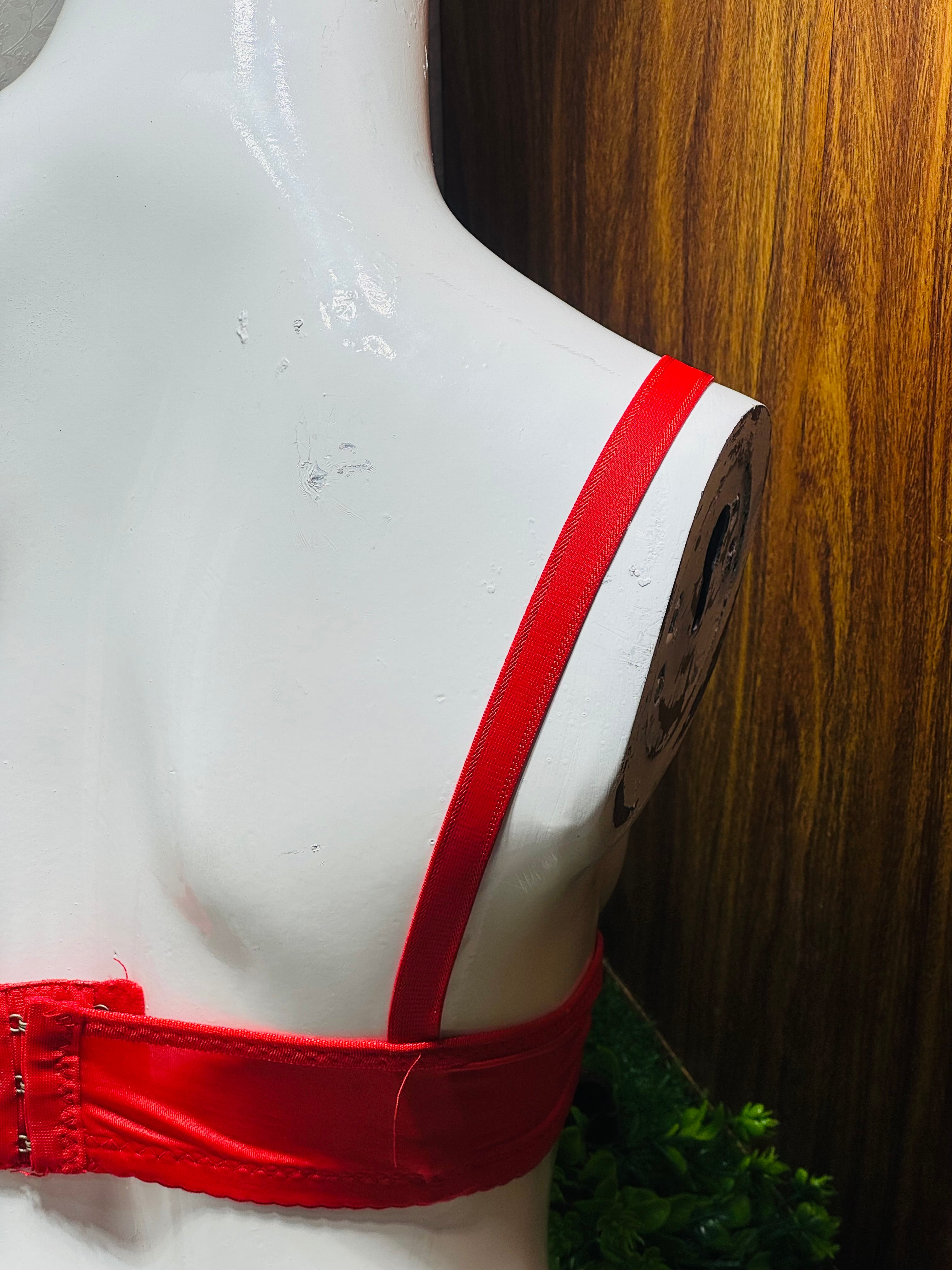 Single Padded Regular Bra