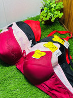 Single Padded Regular Bra
