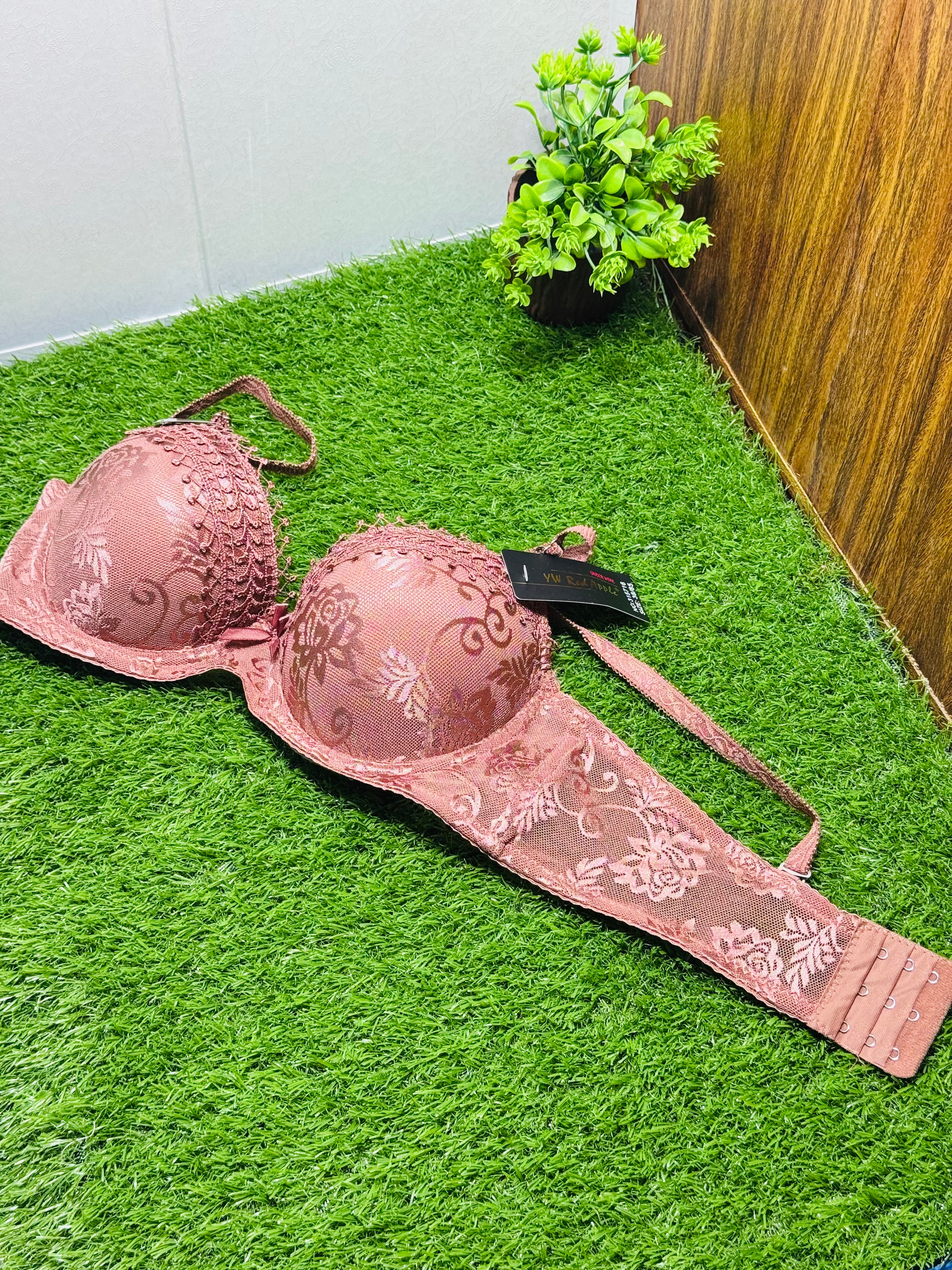 Ring Net fancy Bra