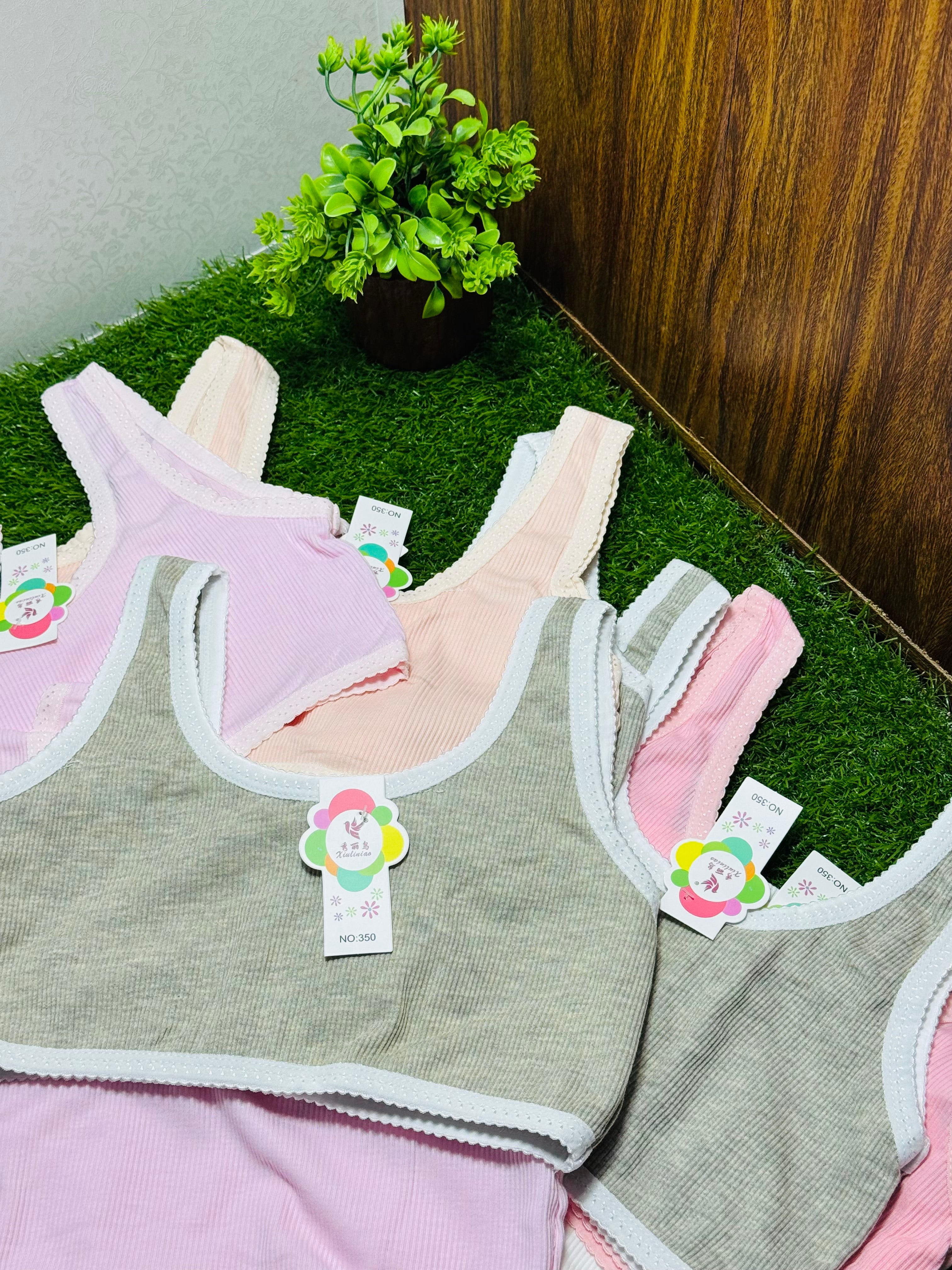 Regular Wear Lining Blouse