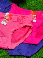 Blended Fabric Regular Wear Panties