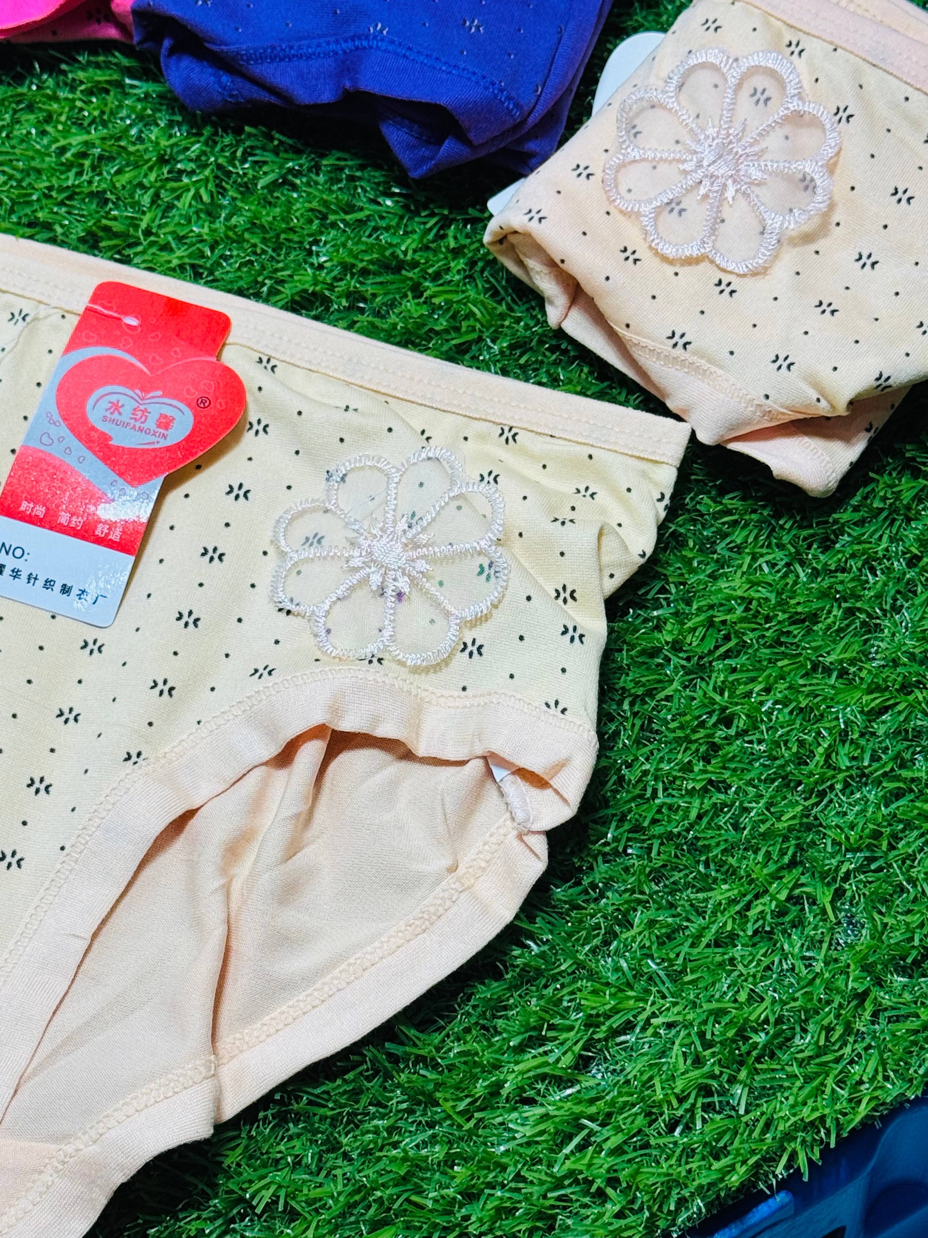 Blended Fabric Panties