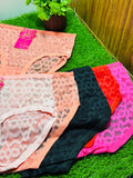 Net Lite Panties