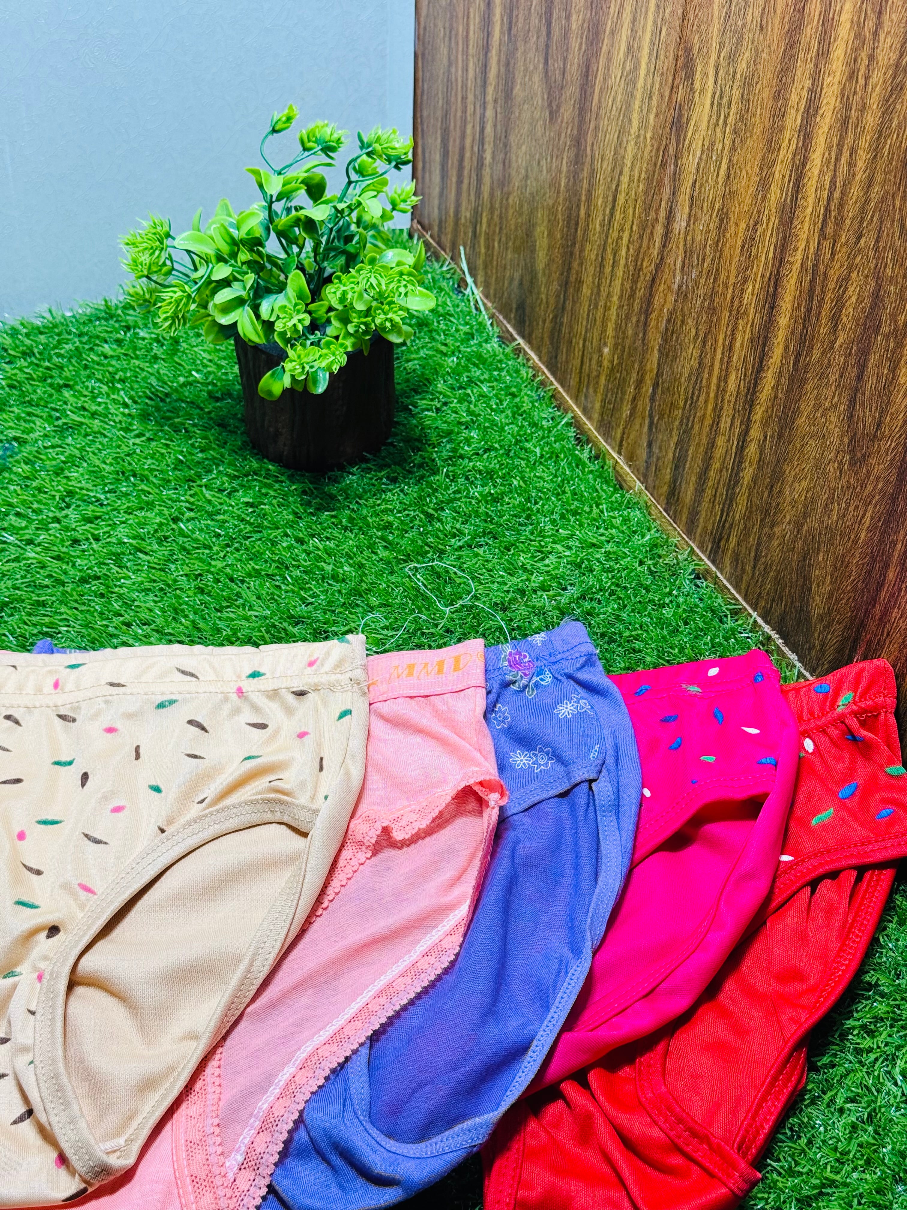 Reshmi Regular Wear Panties