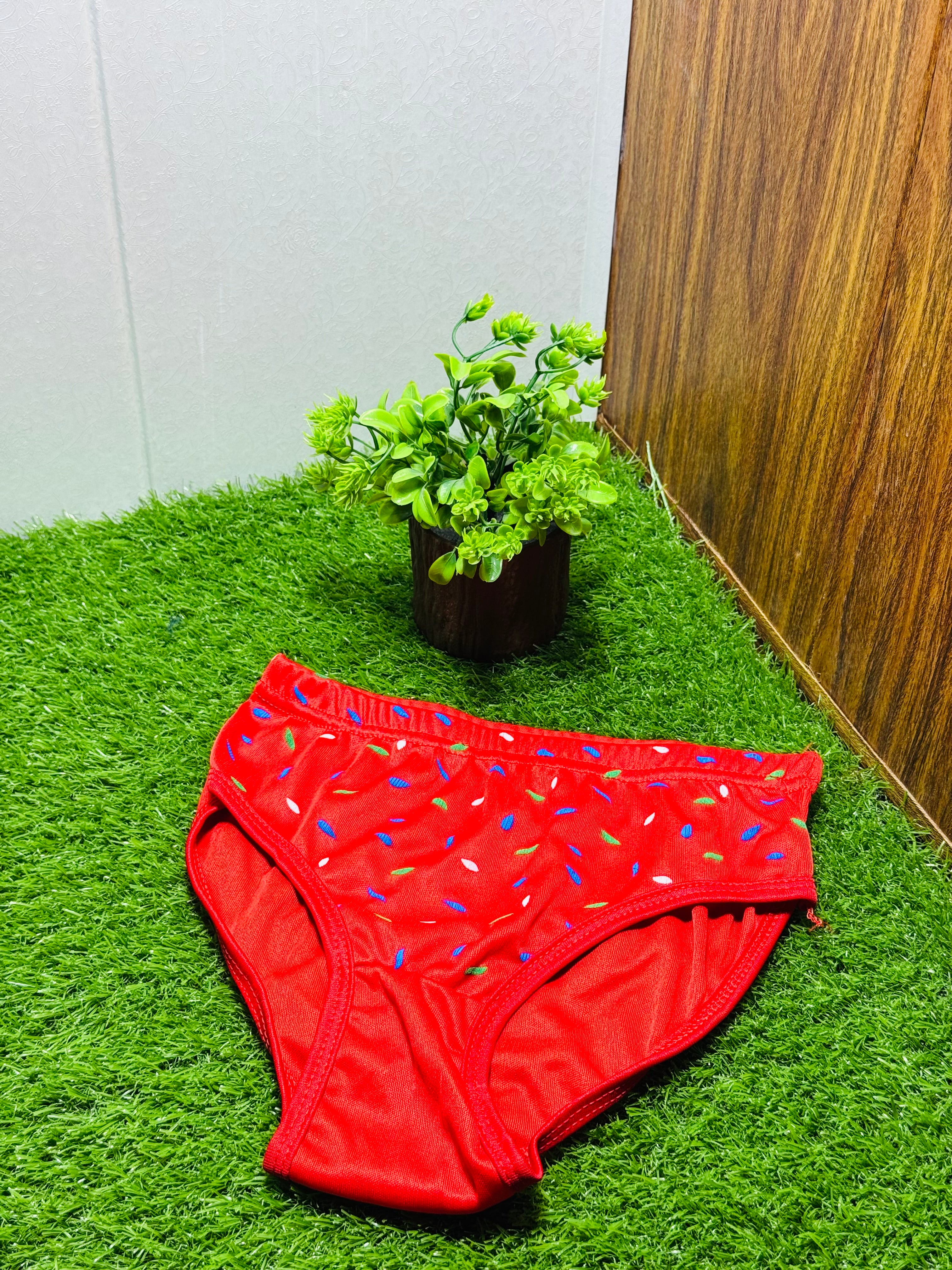 Reshmi Regular Wear Panties