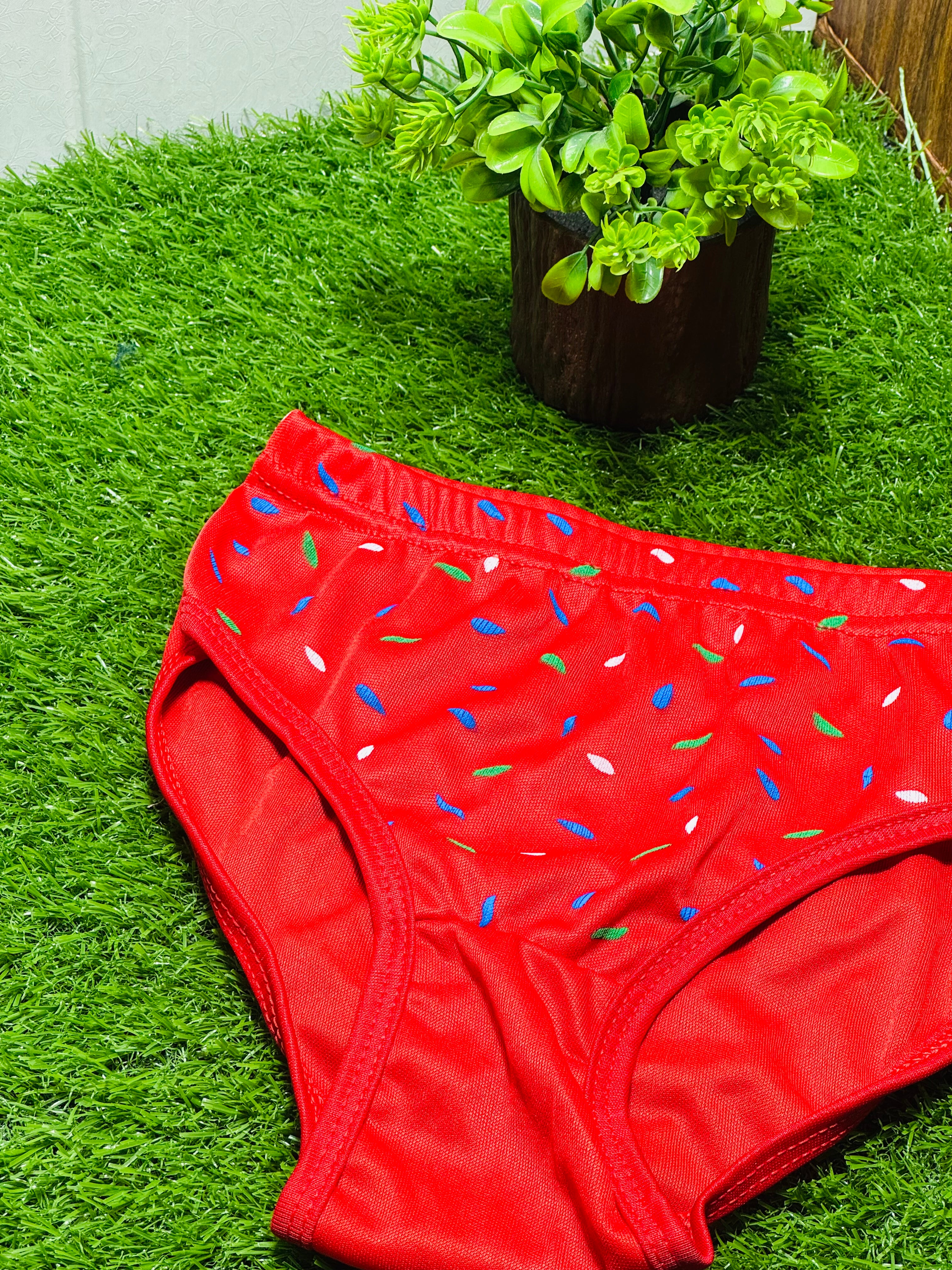 Reshmi Regular Wear Panties