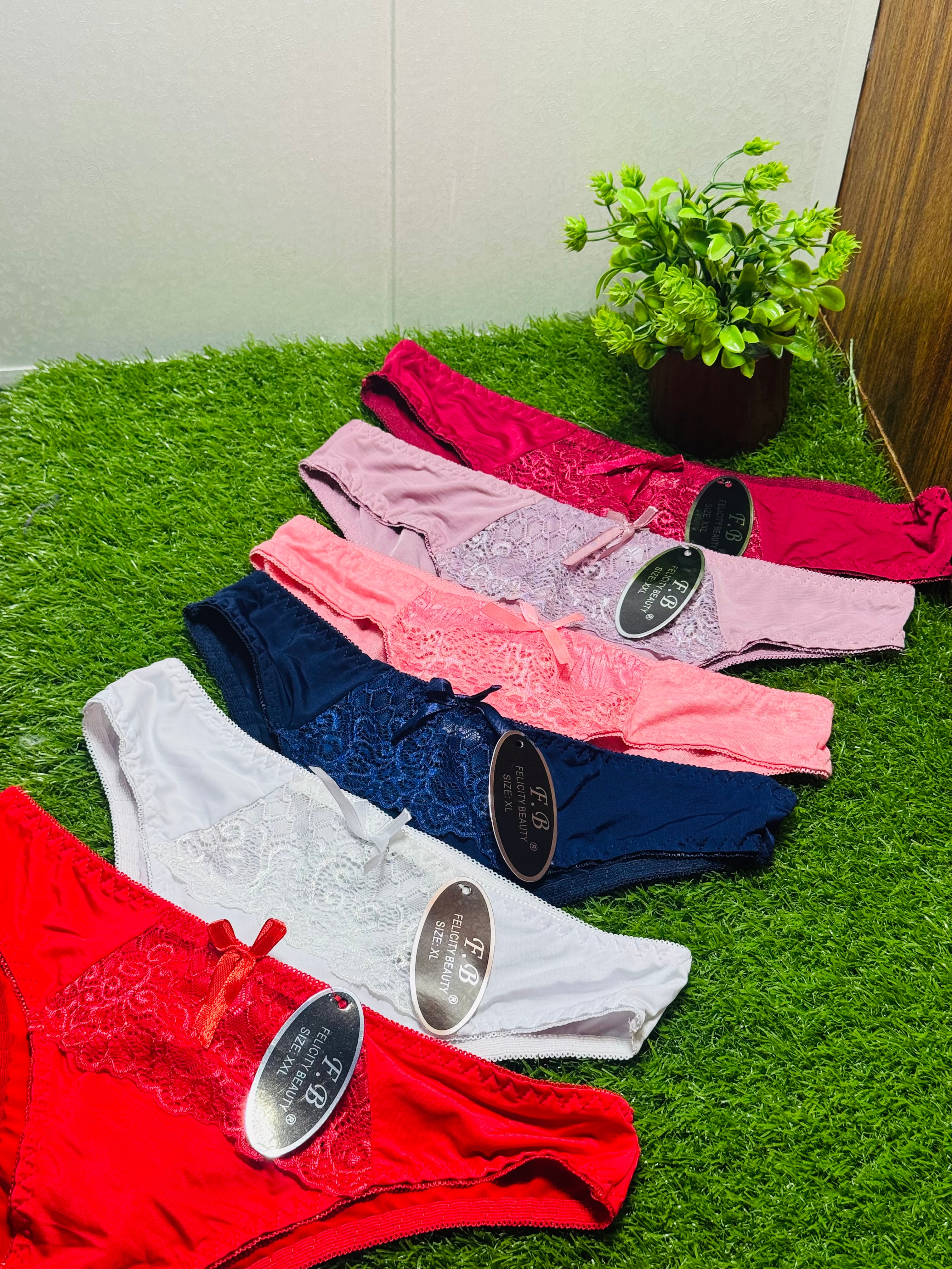 Silky Net Panties Luxurious