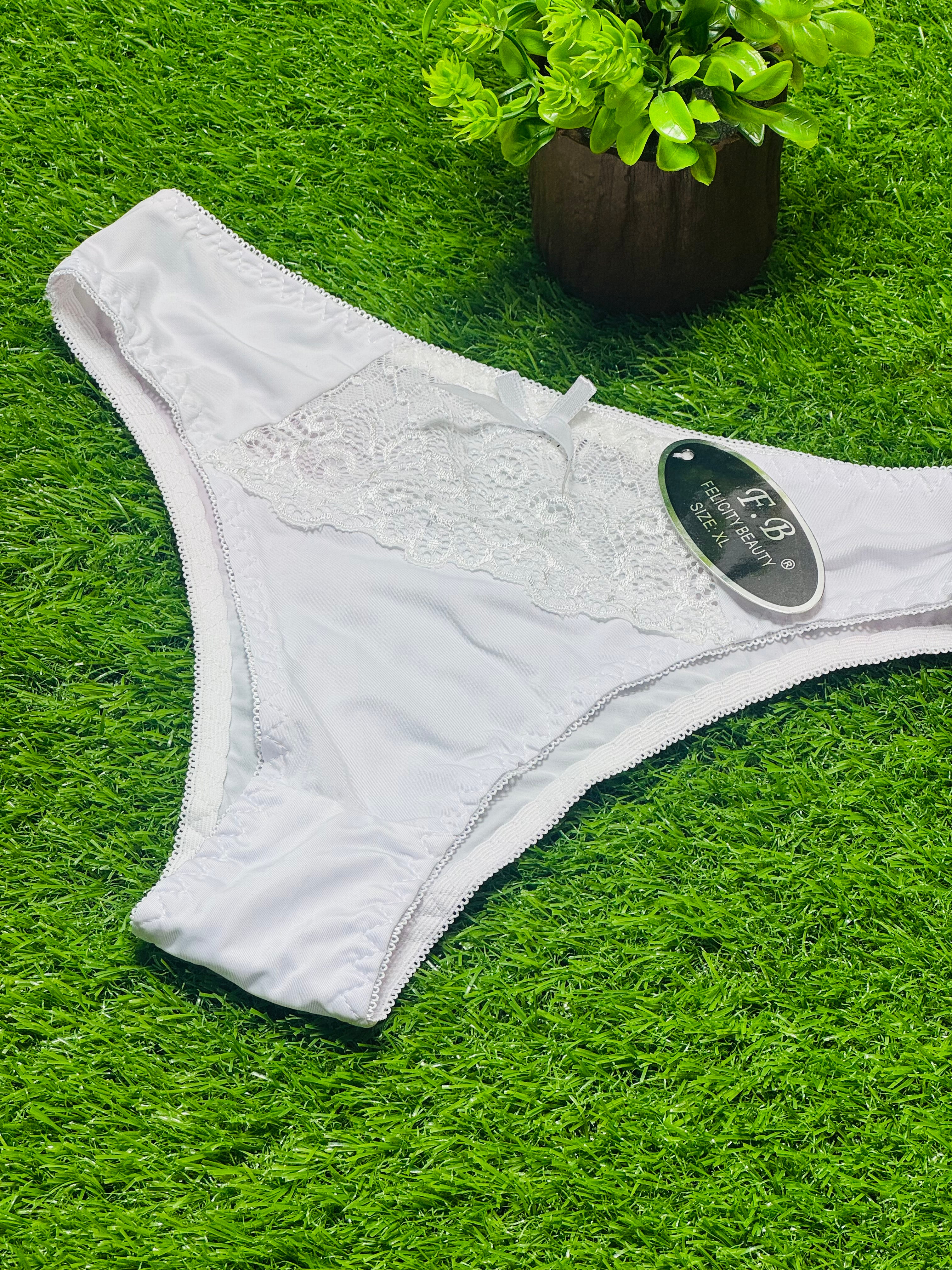 Silky Net Panties Luxurious