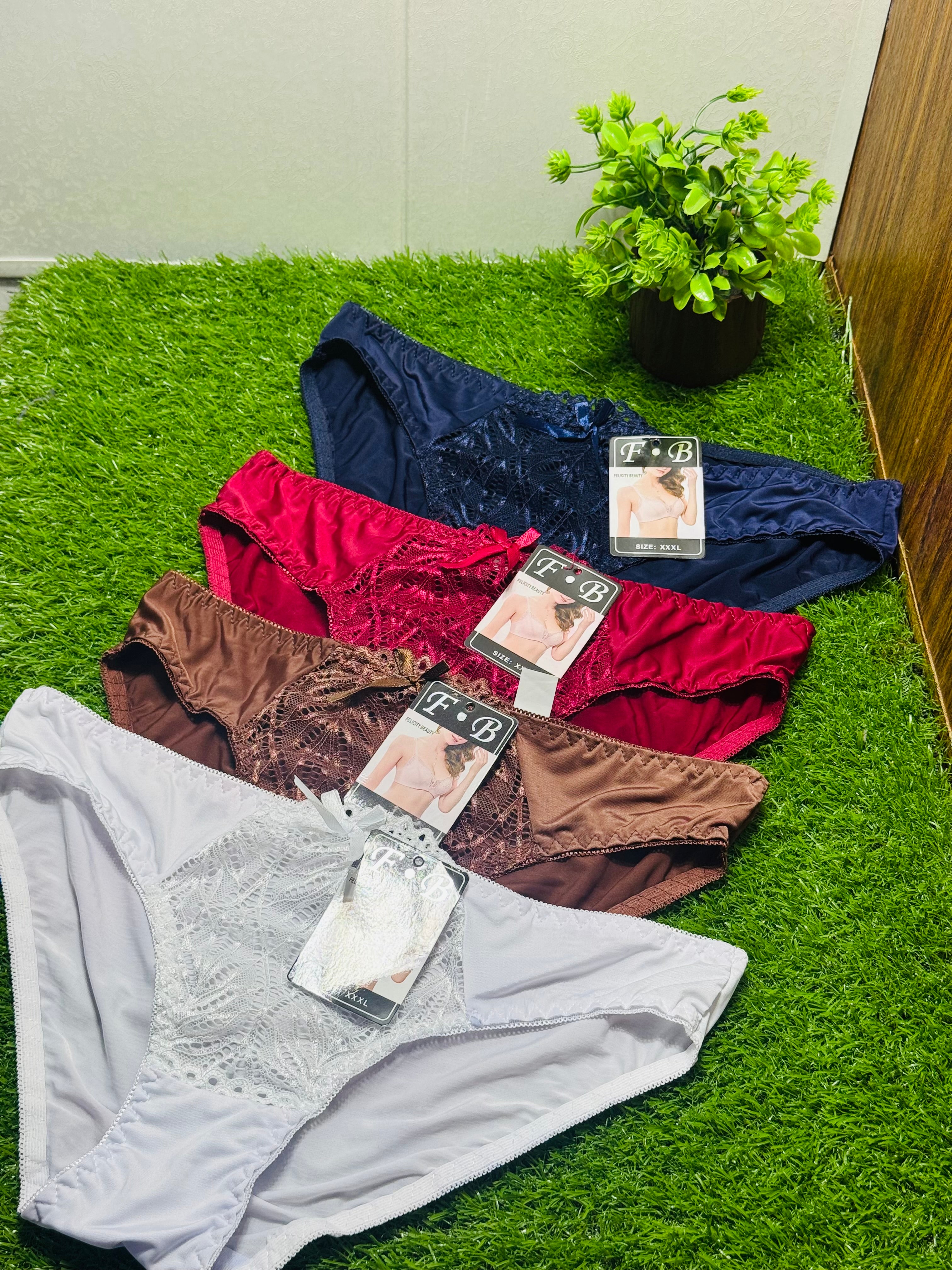 Silky Net Panties Luxurious