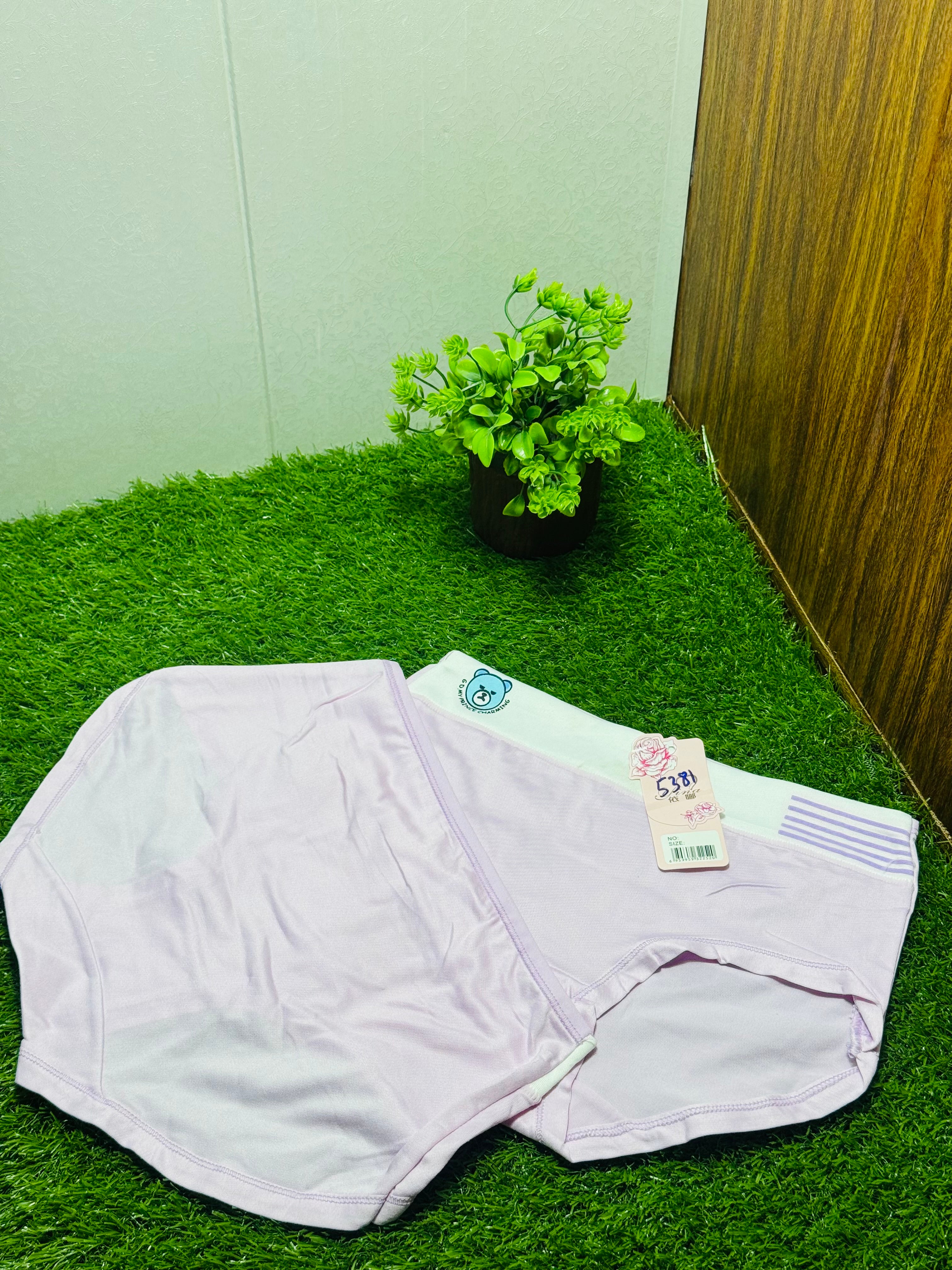 Regular Blended Panties