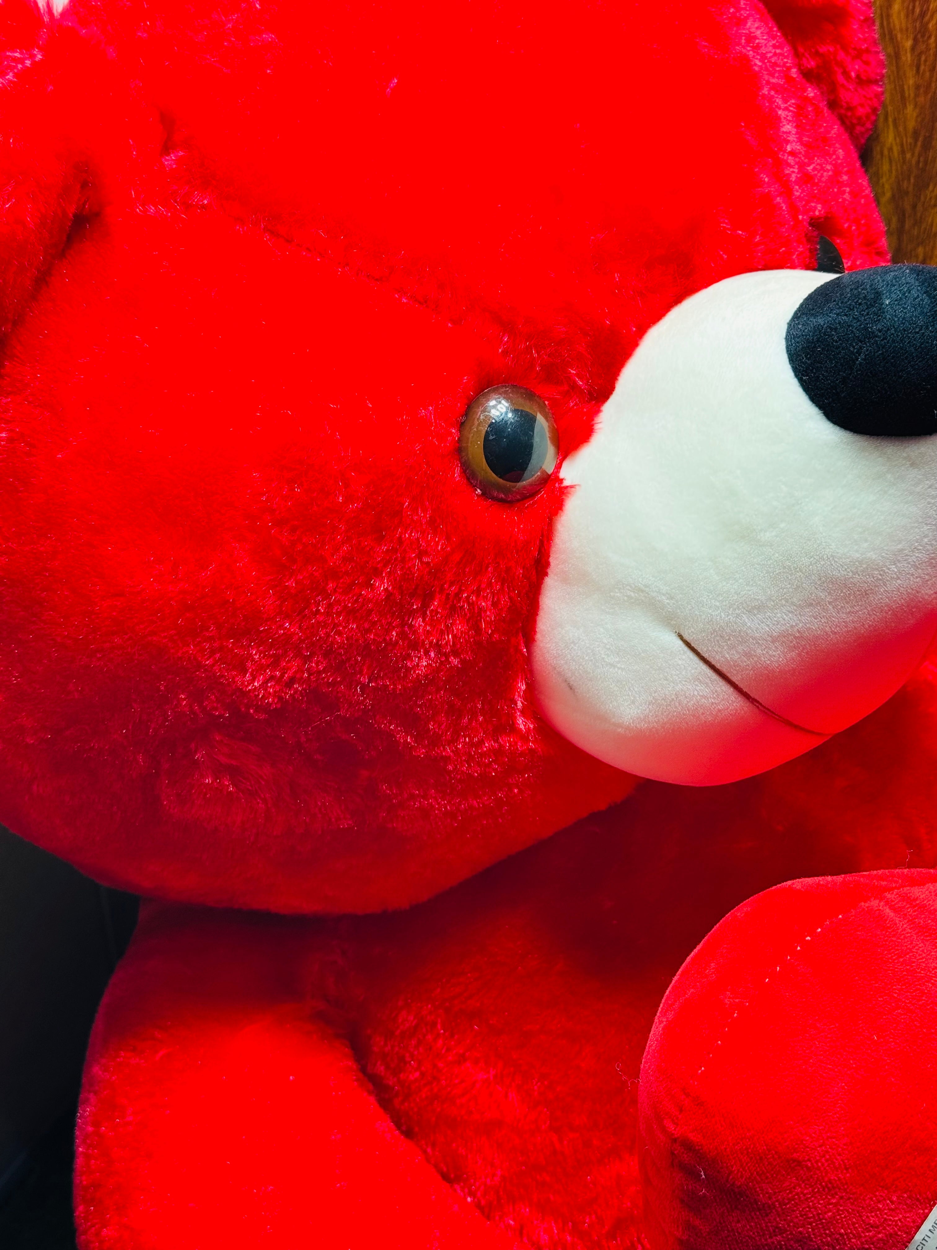 3-Feet Long Red Teddy Bear with Heart Pillow