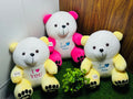 Small-Sized Teddy Bears