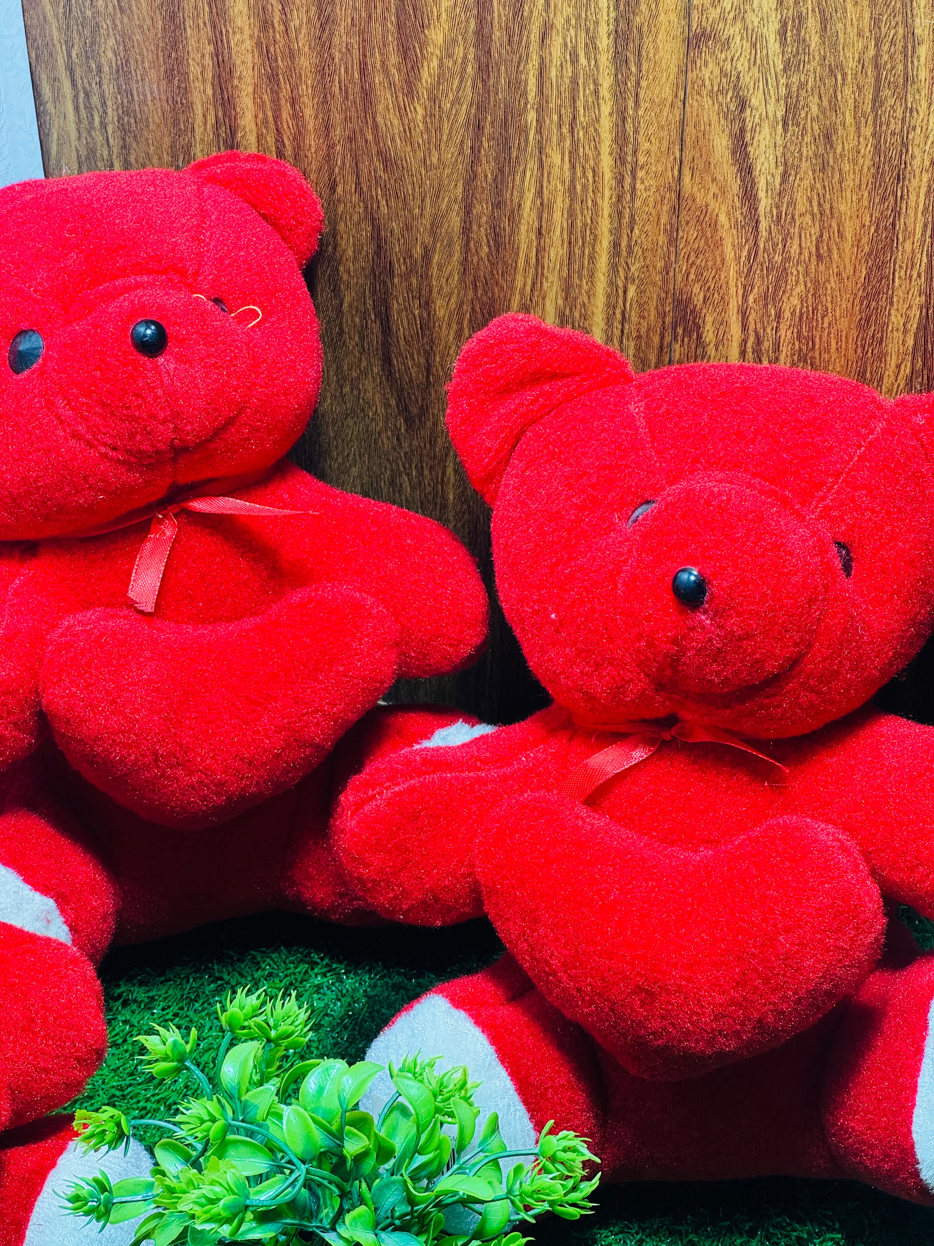 Small-Sized Red Teddy Bear with Heart