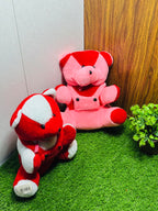 Set of Two Teddy Bears