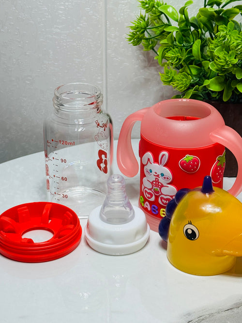 12+ Months L-Size Anti-Colic Glass Feeder (120ml)