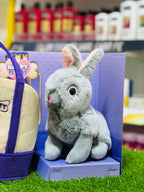 Mini Rabbit Soft Toy