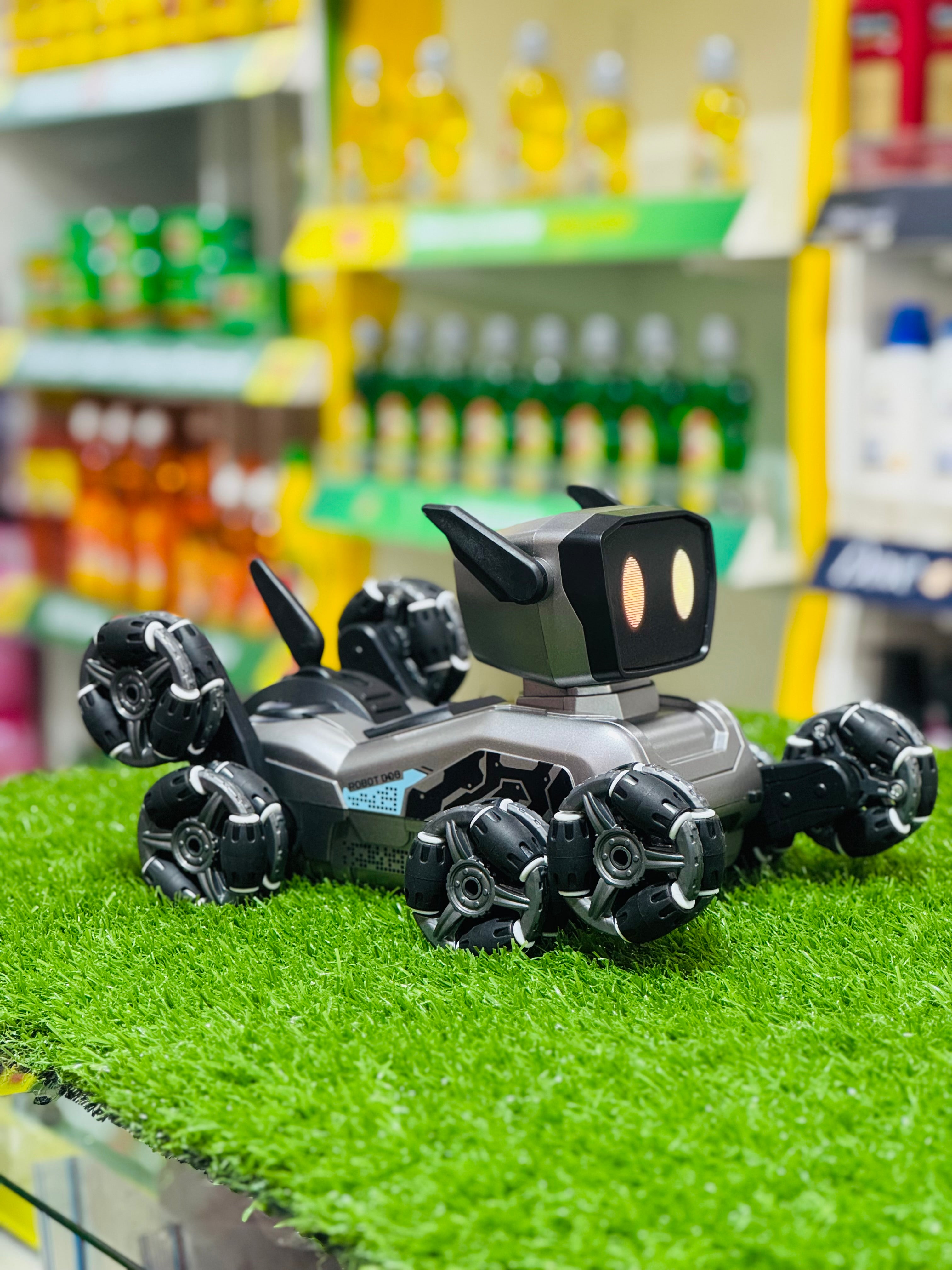 Interactive Robot Dog