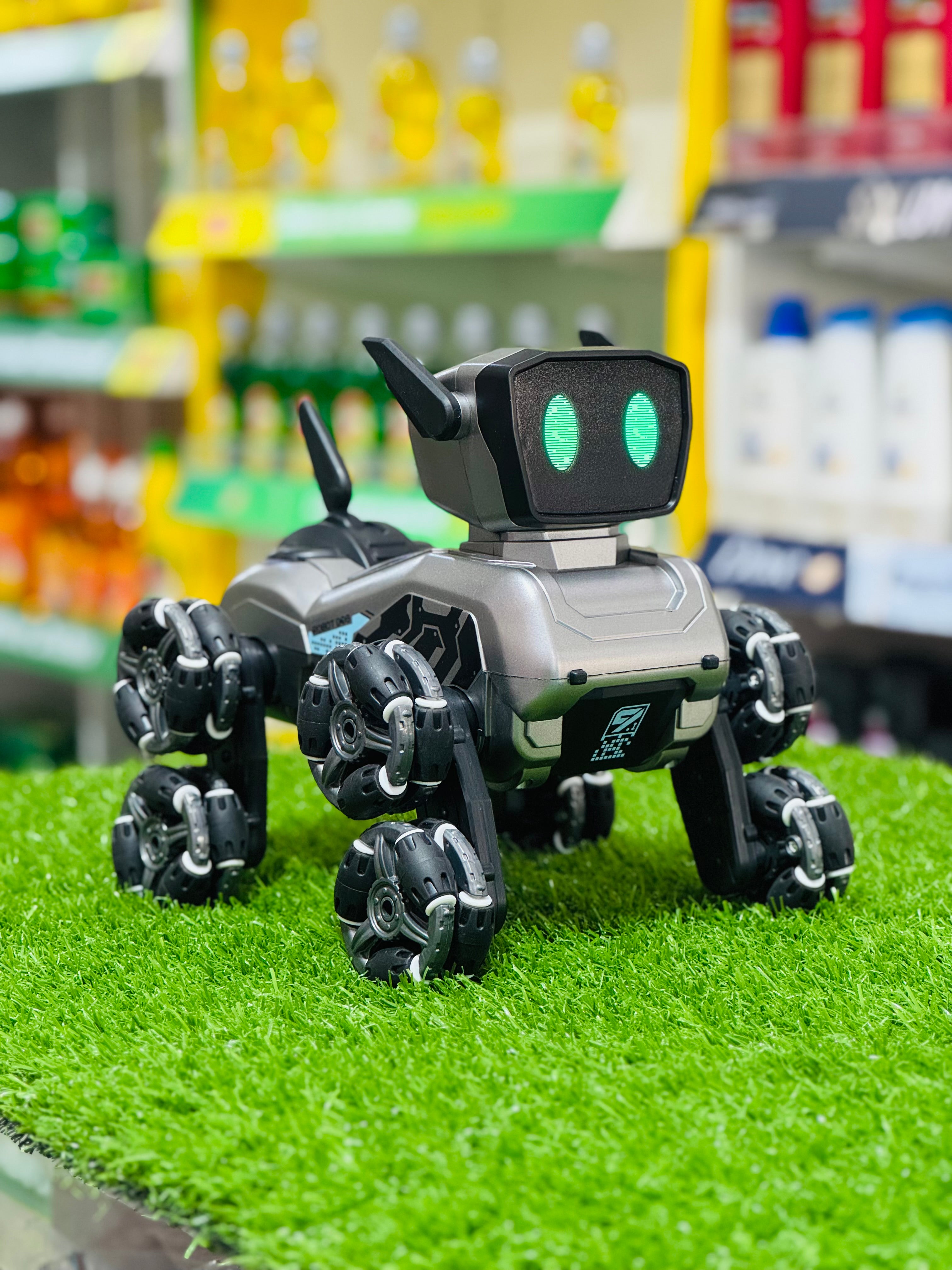 Interactive Robot Dog